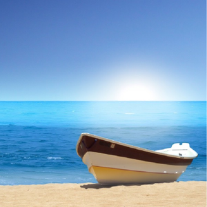 大精鱼官网进入
